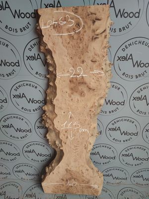 Planche loupe d'orme bois brut