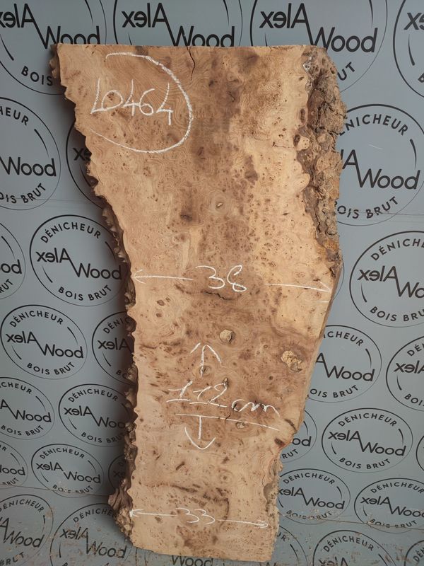 Plateau de loupe d'orme live edge