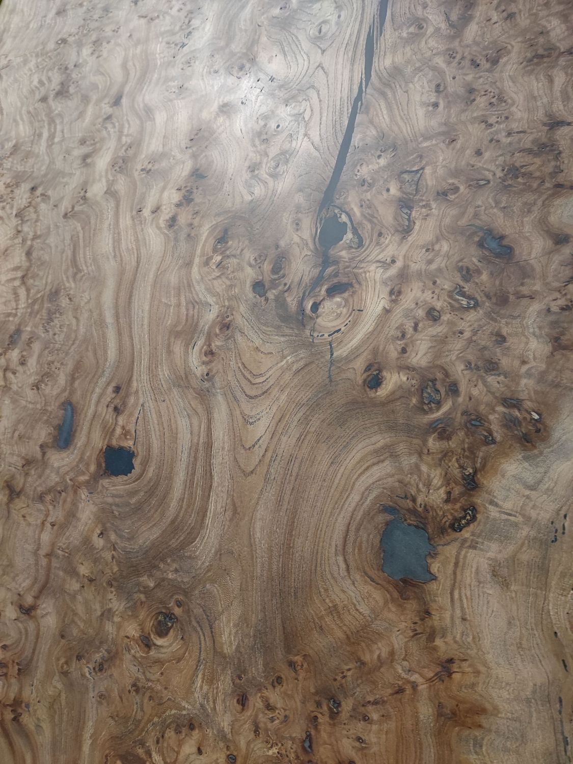 Plateau table bois brut loupe d'orme et résine époxy