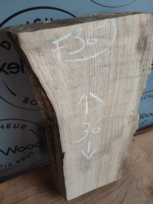 Bloc de frêne - F36
