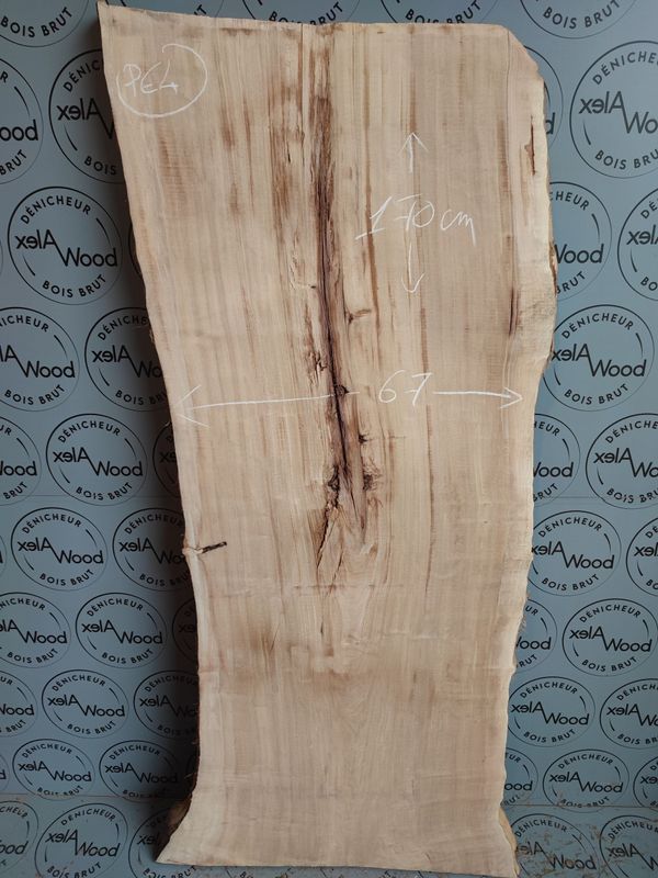 Plateau de peuplier bois brut - PE4