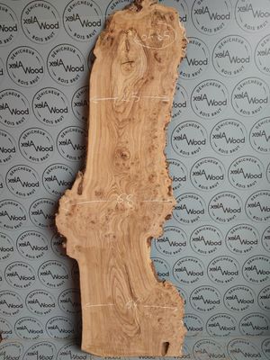 Plateau bois brut loupe d'orme - LO485