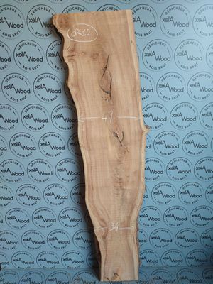 Plateau planche bois brut d'orme