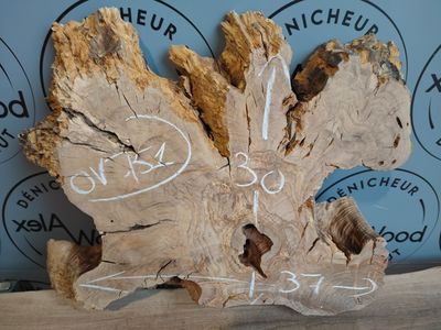 Rondelle de bois d'olivier - OV751