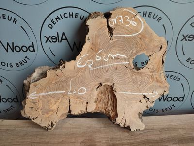 Plateau planche d'oliver bois brut idéal résine époxy