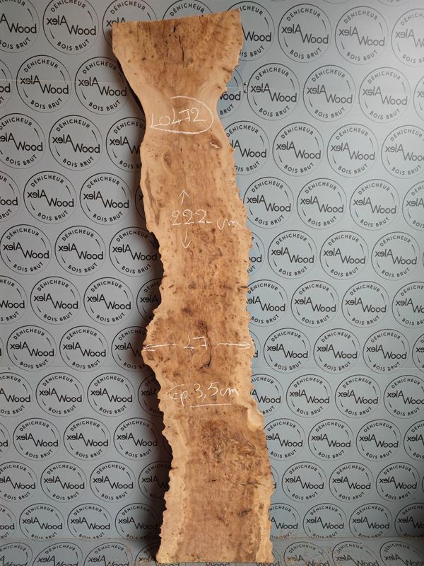 Plateau planche d'orme bois brut idéal résine époxy