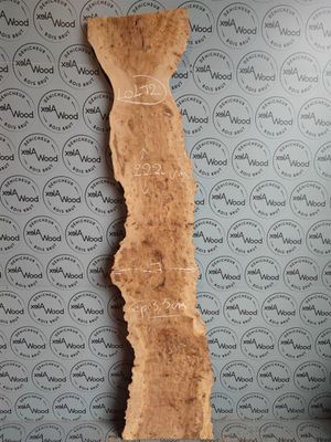 Plateau planche d'orme bois brut idéal résine époxy