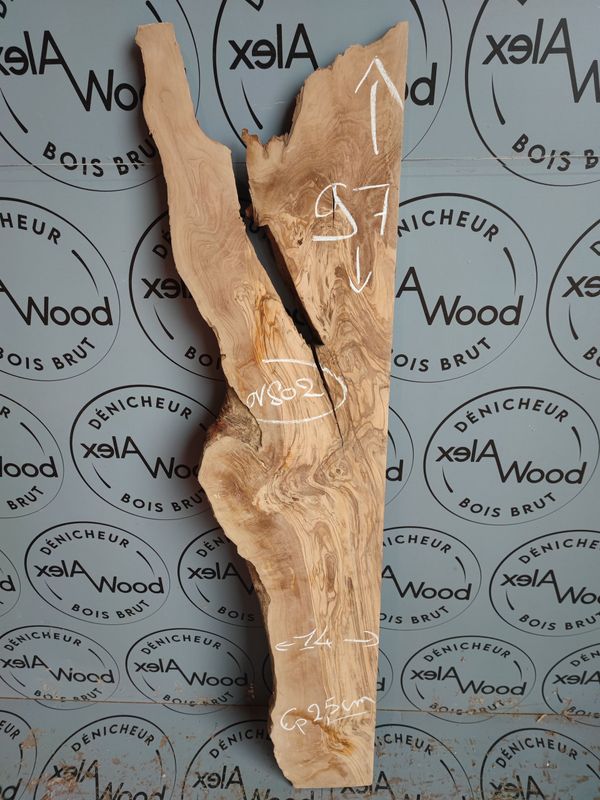 Plateau bois d'olivier - OV802