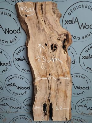 Plateau bois d'olivier live edge - OV800