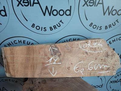 Bloc d'orme bois brut - OR14/1