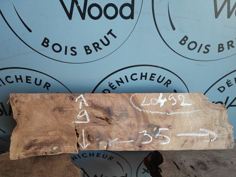 Bloc de loupe d'orme bois brut - LO492