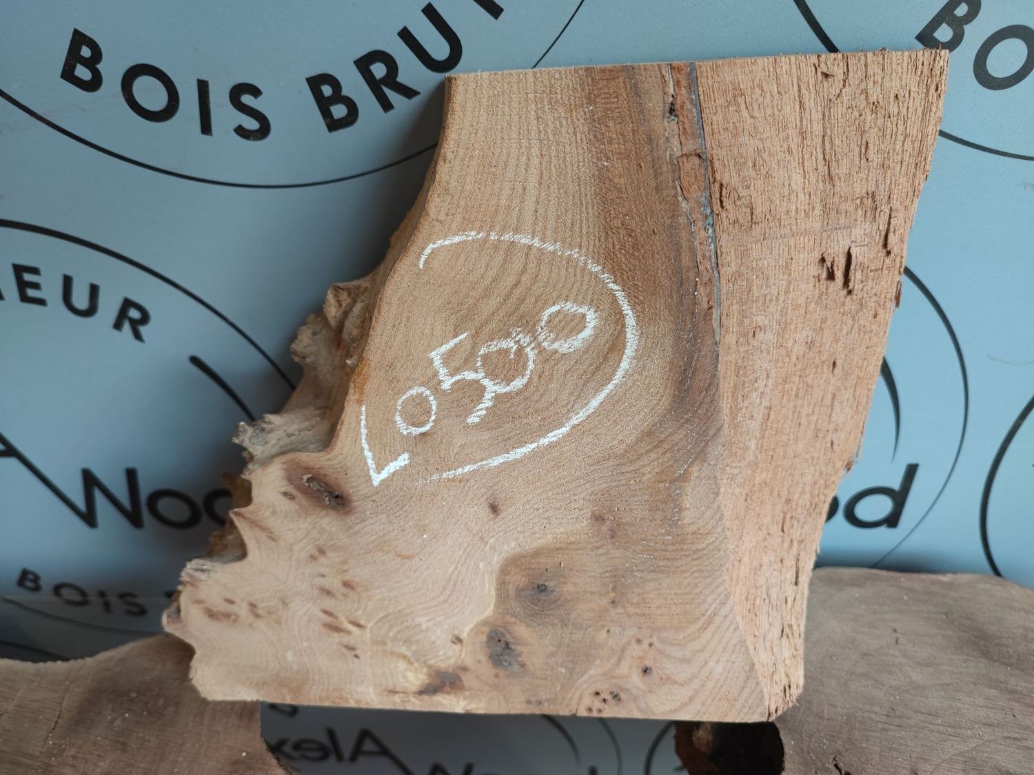 Chute de loupe d'orme - LO500