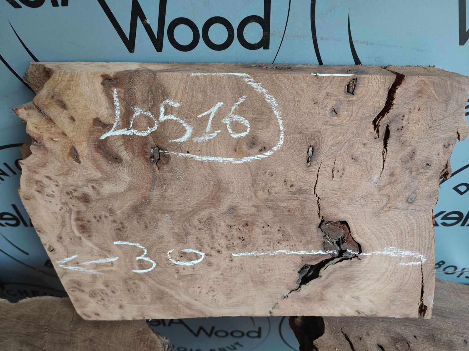 Bois brut plateau d'orme - LO516