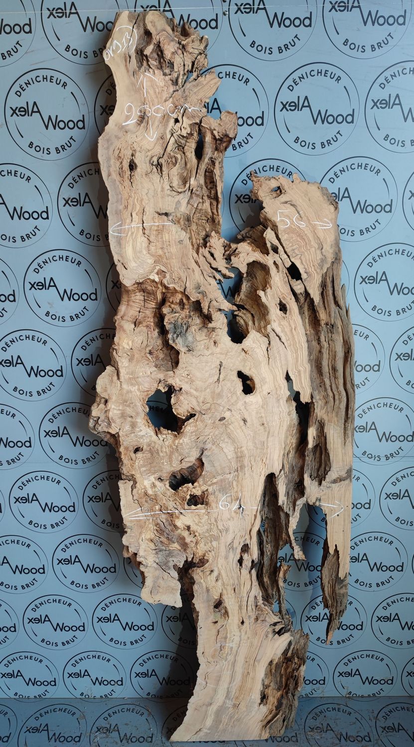 Plateau en bois d'olivier live edge – Un choix parfait pour table rivière