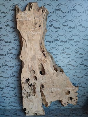 Plateau d'olivier idéal table rivière XXL - OV909