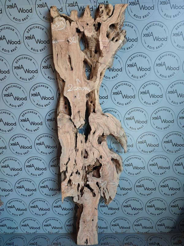 Plateau bois d'olivier brut live edge – Parfait pour table rivière