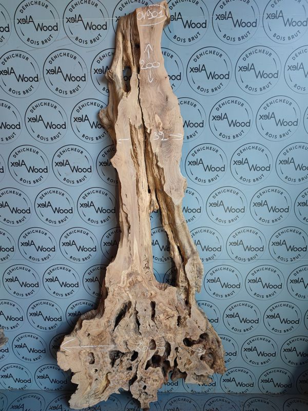 ​Plateau en bois d'olivier naturel  Idéal pour une table rivière - OV901