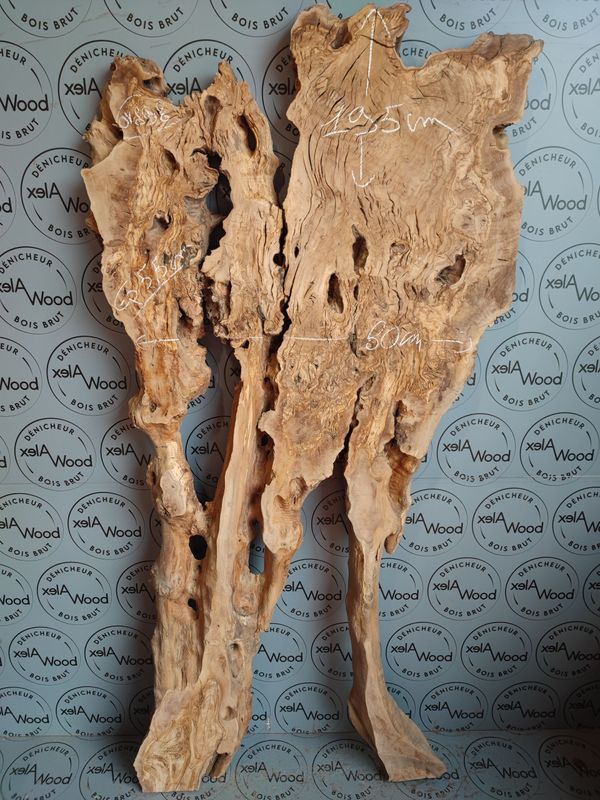 ​Plateau bois d'olivier brut Idéal pour votre future table rivière - OV898