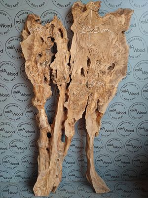 ​Plateau bois d'olivier brut Idéal pour votre future table rivière - OV898