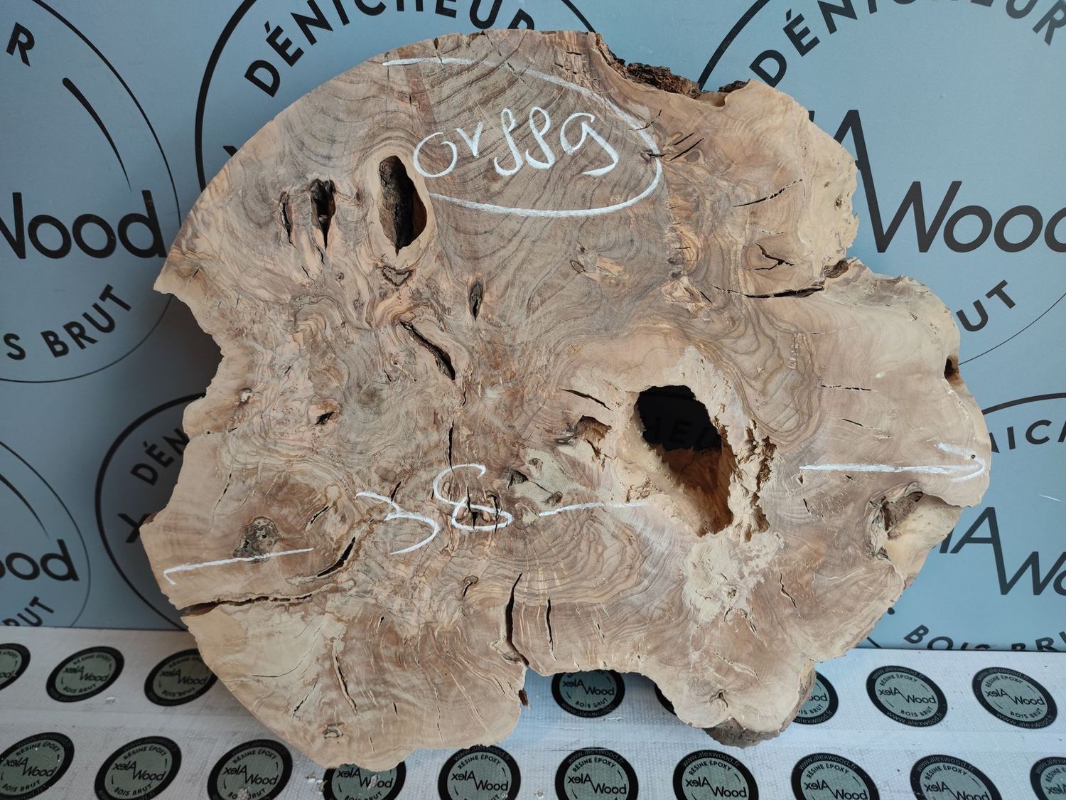 Disque bois d'olivier - OV889