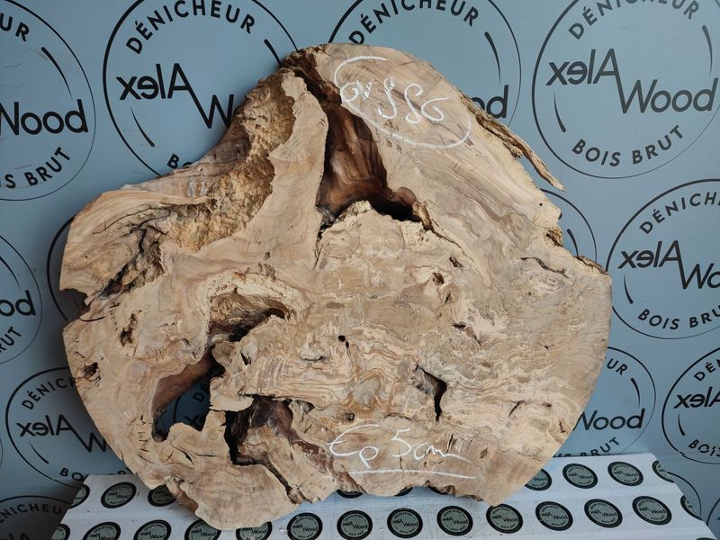 Rondelle d'olivier pour décoration intérieure - OV886 Rondelle d'olivier pour décoration intérieure - OV886