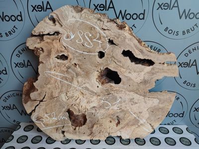 Plateau en bois d'olivier massif pour mobilier design - OV884
