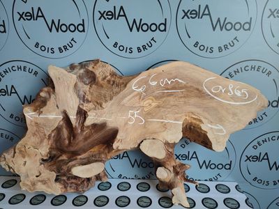 ​Créez un objet en résine et bois d'olivier - OV865