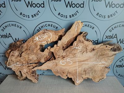 Racine d'olivier pour fabrication de table en résine - OV858 Racine d'olivier pour fabrication de table en résine - OV858