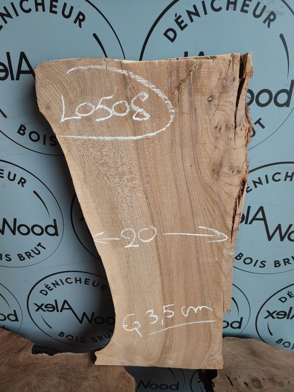 Bois d'orme idéal projet résine - LO508