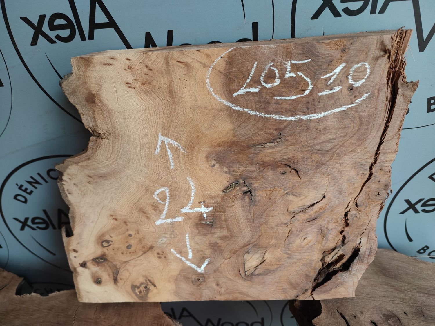 Plateau loupe d'orme - LO510