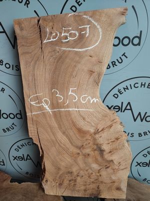 Plateau d'orme bois brut - LO507