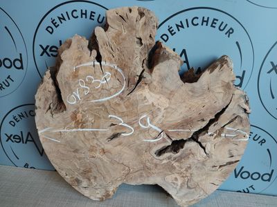 Disque planche bois d'olivier - OV830
