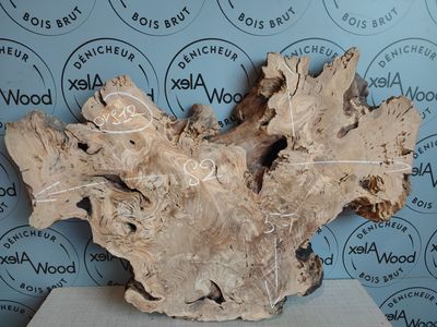 Magnifique plateau bois d'olivier idéal résine époxy RYVER EPOXY - OV812