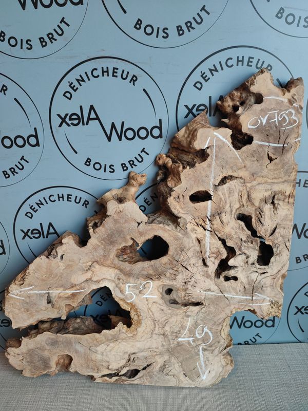 Bois d'olivier formes naturelles - OV793