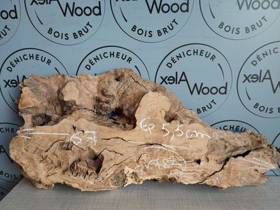 Plateau bois parfait pour création résine - OV782