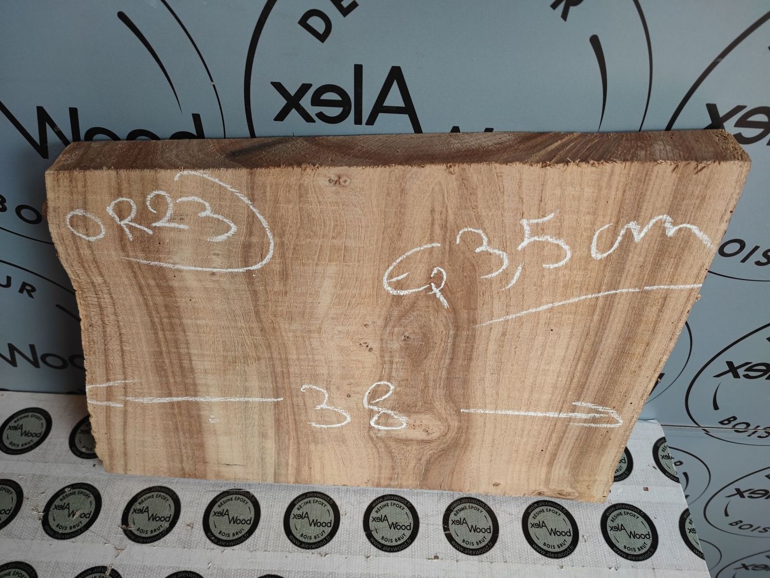 Petite planche d'orme bois brut - OR23