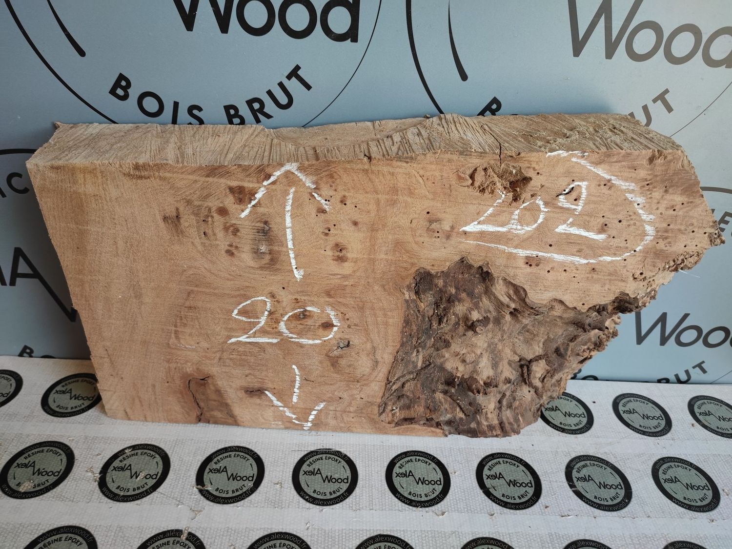 Bloc de loupe d'orme brut - LO2