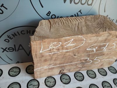 Bloc de loupe d'orme - LO1