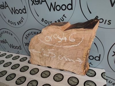 Petit bloc d'olivier bois brut - OV946