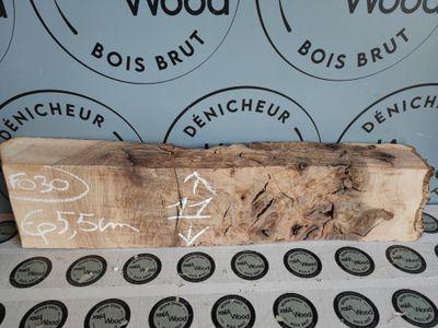 Bloc de loupe de frêne olivier - FO30