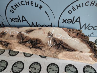 Bloc loupe de frêne olivier