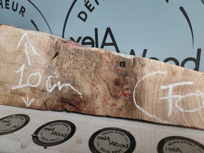 Bloc de loupe de frêne olivier -FO42