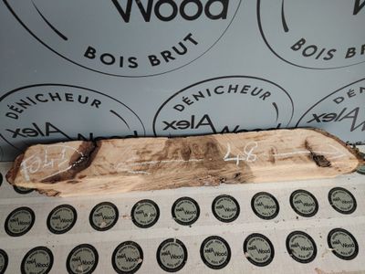 Bloc de loupe de frêne olivier - FO41