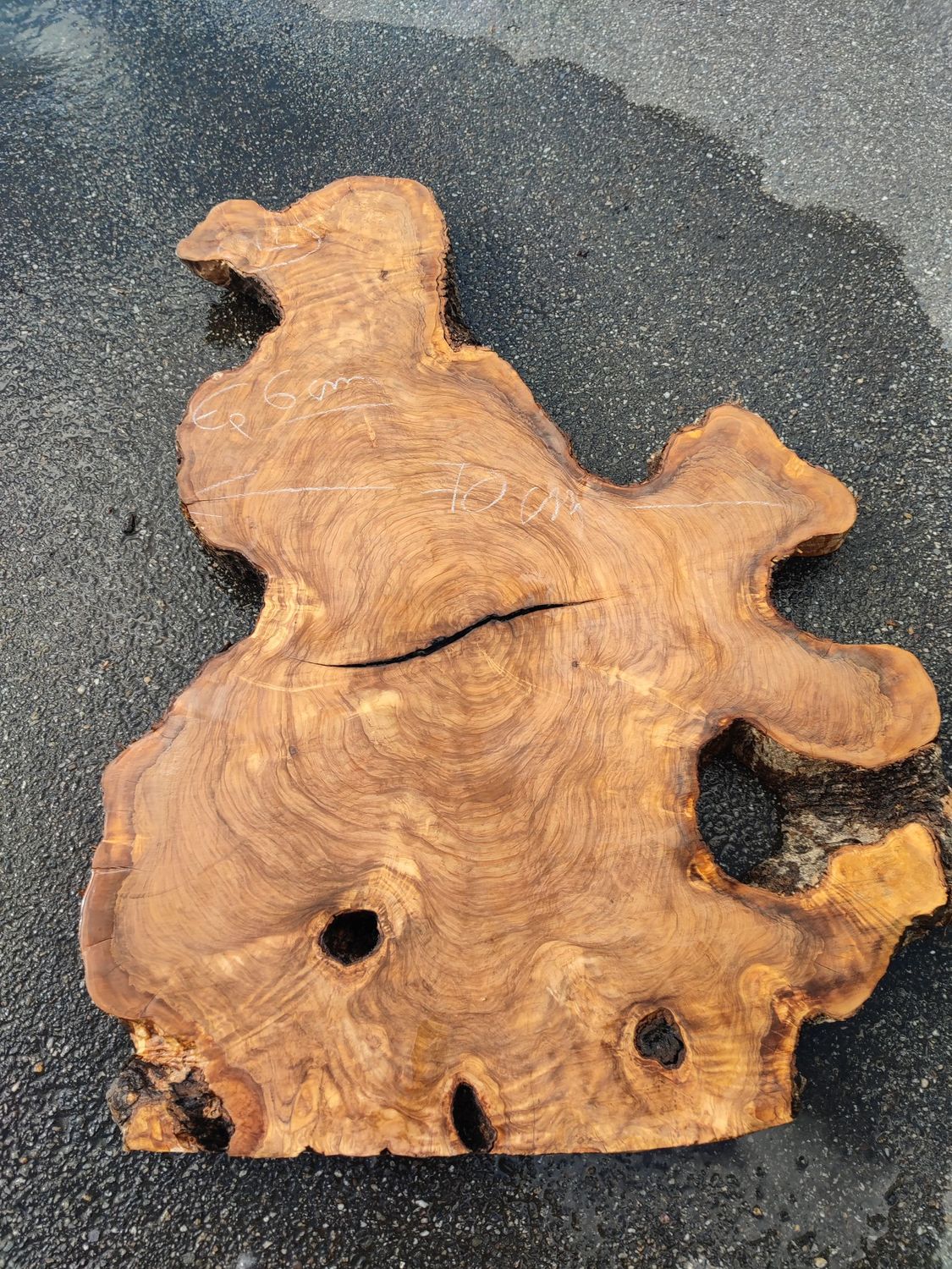 Disque de bois d'olivier - OV1.
