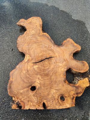Disque de bois d'olivier - OV1.