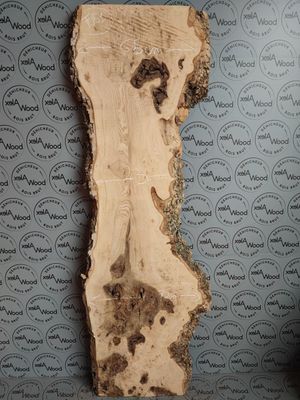 Plateau de loupe de frêne olivier - FO51