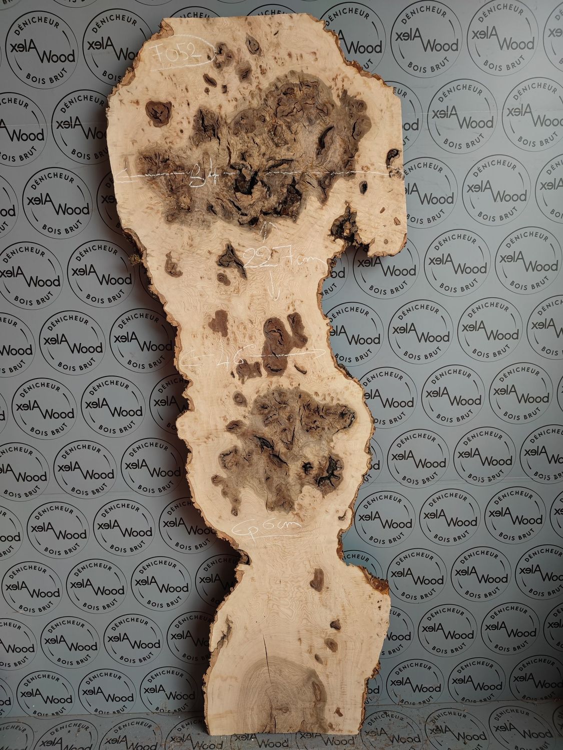 Plateau de loupe de frêne olivier - FO52