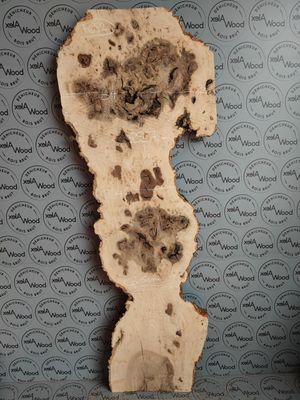 Plateau de loupe de frêne olivier - FO52