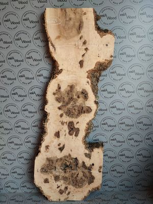 Plateau de loupe de frêne olivier - FO53