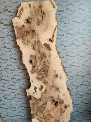 Plateau bois loupe de frêne olivier - FO56